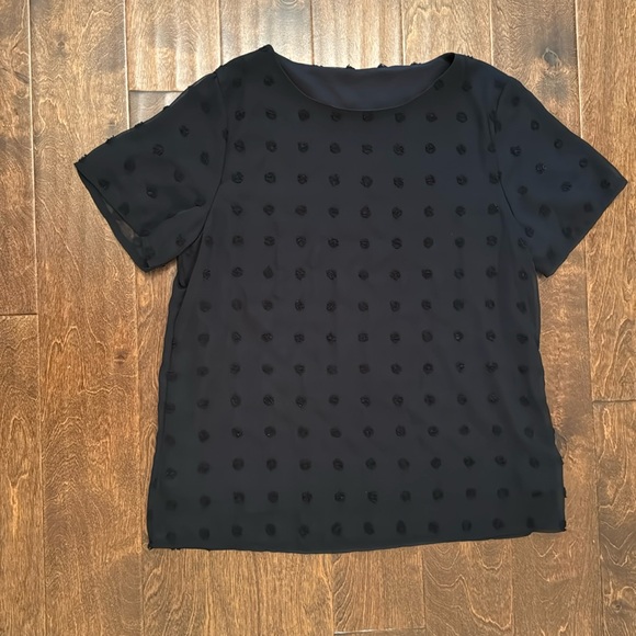 NWOT Summer Short Sleeve Round Neck Swiss Dot Shirt Pom Pom Chiffon Blouse - L - Picture 2 of 6